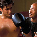 tn_kickboxer2