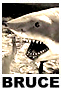 Brucethesharkicon