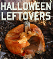 halloweenleftovers