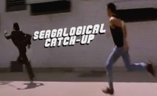 seagalogicalcatchup2