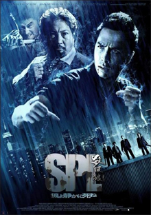 SPL (Kill Zone): The Martial Arts Movies Ranked, Worst to Best