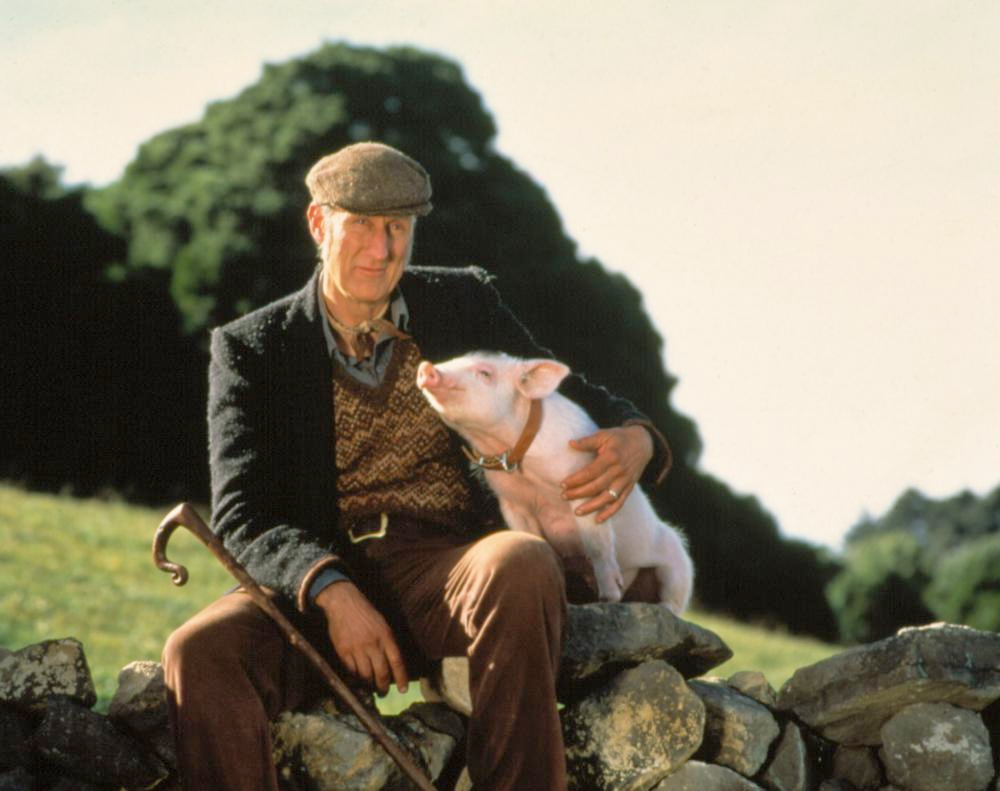 Babe VERN'S REVIEWS on the FILMS of CINEMA