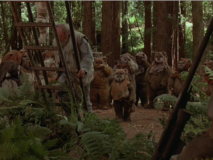 still_ewoks10