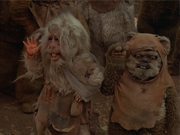 still_ewoks11