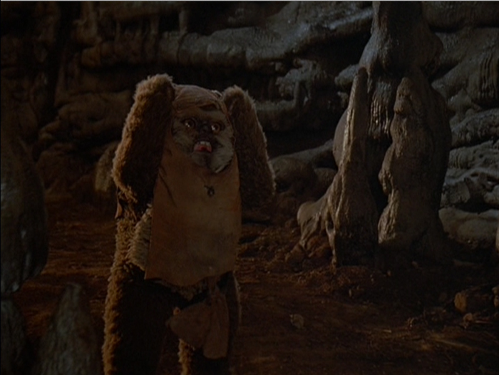 still_ewoks8