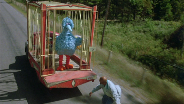 Follow That Bird | VERN'S REVIEWS on the FILMS of CINEMA