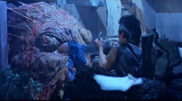 priscilla page on X: I think a lot about how the Rotten Apple Head from  Evil Dead II would look cool in my living room  / X