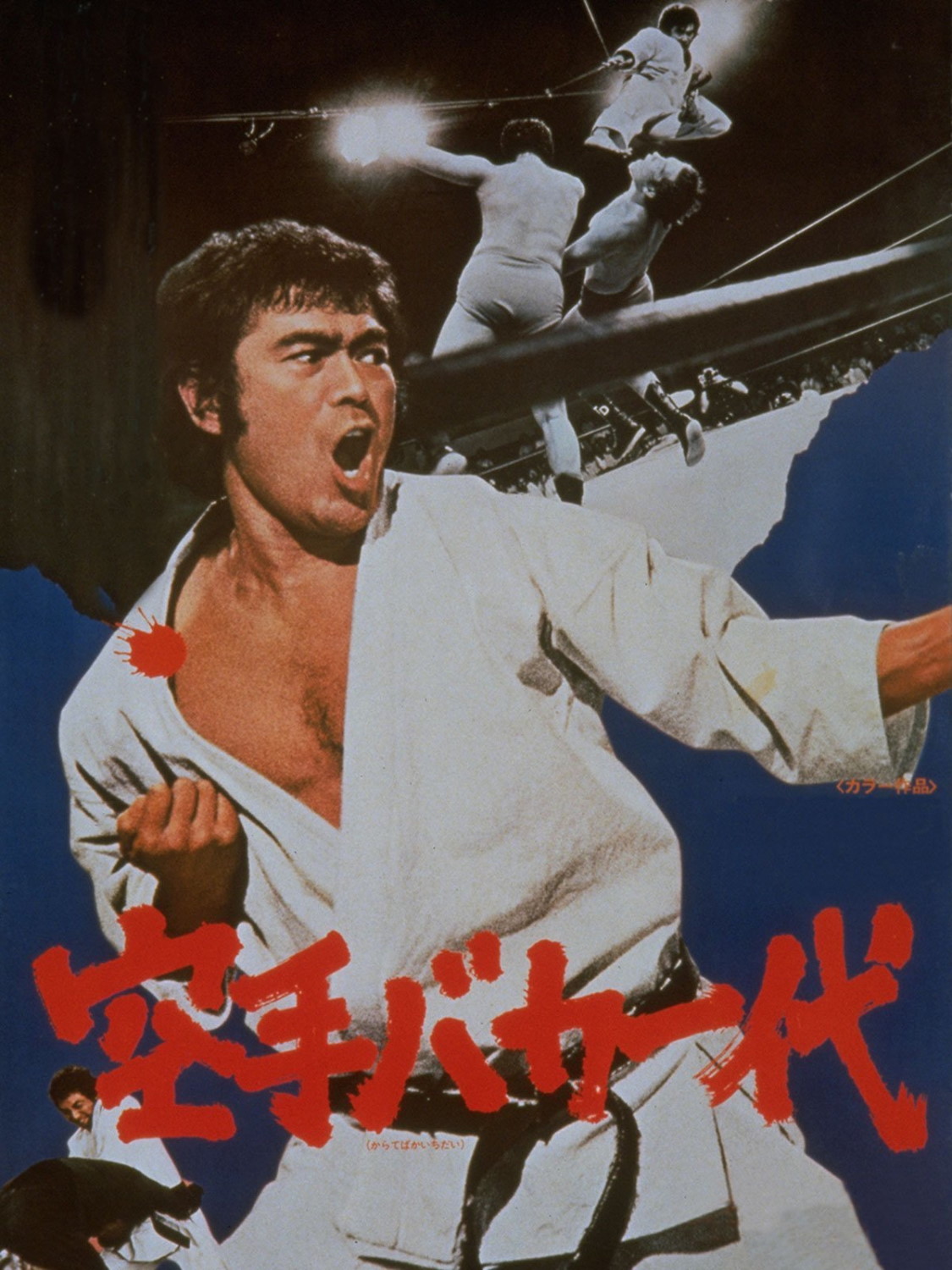Karate for Life (1977) Poster
