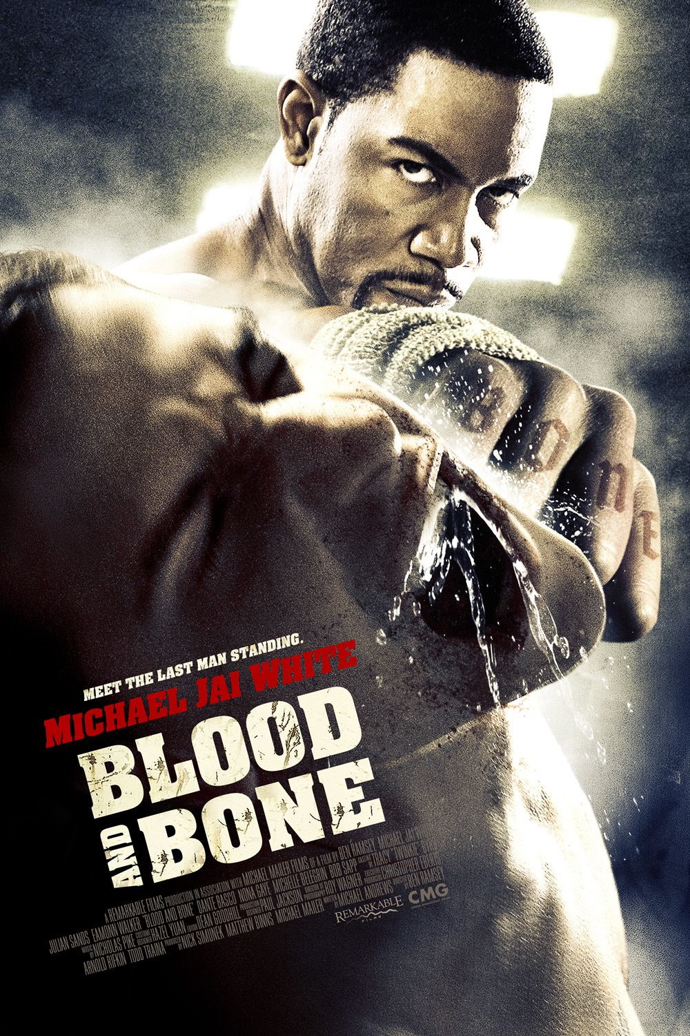 Blood and Bone (2009) Poster