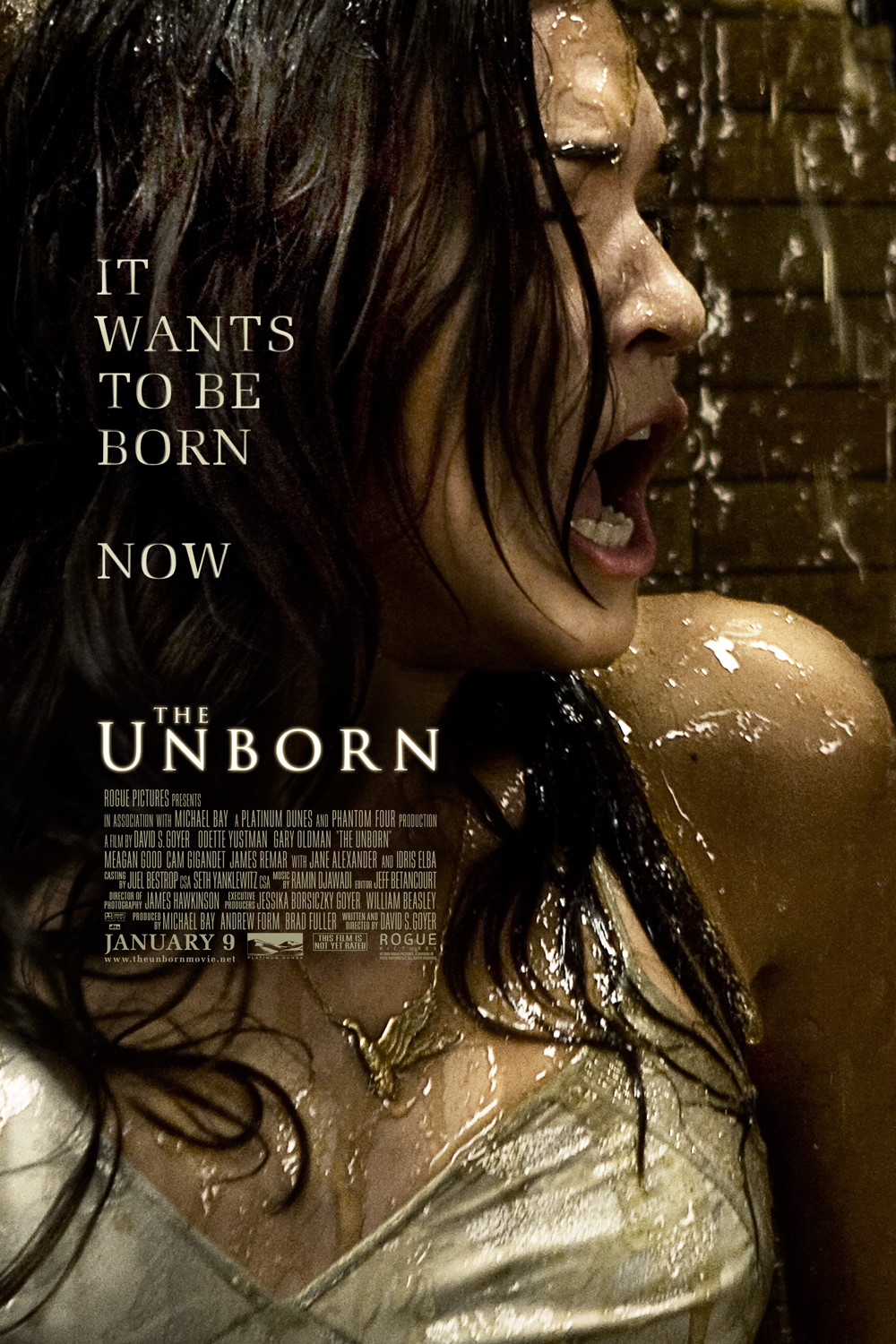 The Unborn (2009) Poster